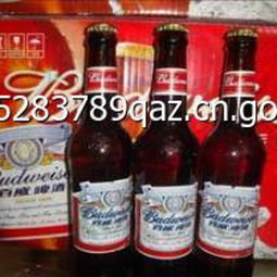 宇佳啤酒 品質(zhì)與創(chuàng)新的完美融合，最新產(chǎn)品展示與創(chuàng)業(yè)商機解析