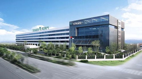 柳市電氣成功上市，“中國電器之都”三巨頭資本市場會師