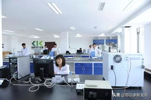 鄂爾多斯再出科技新政 技術(shù)開發(fā)與轉(zhuǎn)讓最高補(bǔ)貼3000萬，賦能區(qū)域創(chuàng)新高地建設(shè)